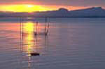 Hegau mit Blick auf den Bodensee